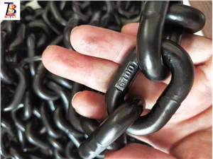 8620D LiftING CHAIN ​​G100 HOIST SHAIN